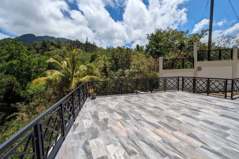 4 bedrooms Villa in Savanne Paille, Dominica No. 66240 2