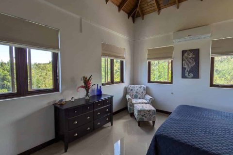 4 bedrooms Villa in Savanne Paille, Dominica No. 66240 16