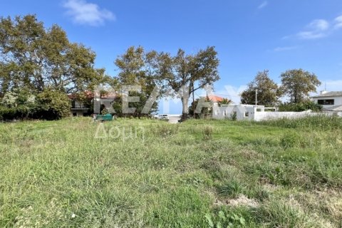 5238m² Land in Magnesia, Greece No. 64923 19