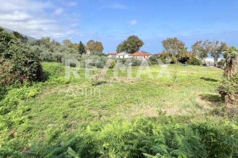 5238m² Land in Magnesia, Greece No. 64923 8