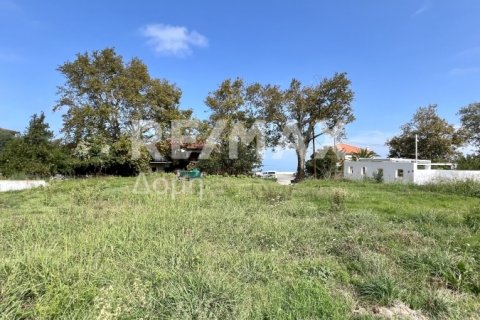 5238m² Land in Magnesia, Greece No. 64923 22