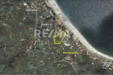 5238m² Land in Magnesia, Greece No. 64923 16