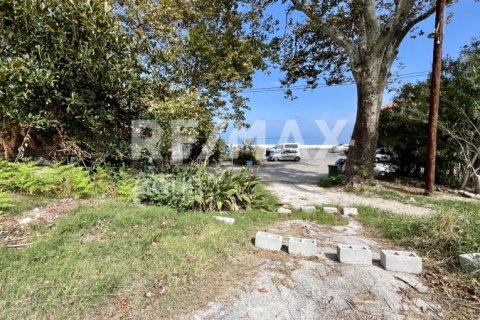 5238m² Land in Magnesia, Greece No. 64923 23