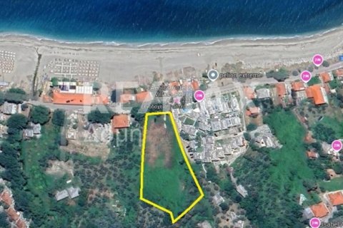 5238m² Land in Magnesia, Greece No. 64923 15