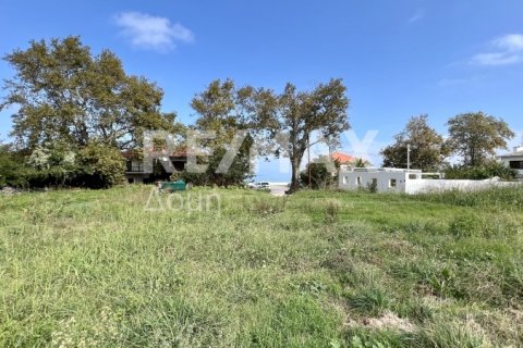 5238m² Land in Magnesia, Greece No. 64923 21