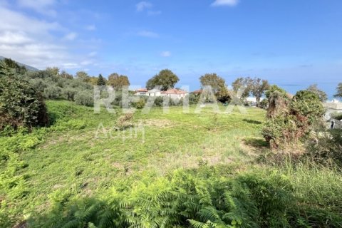 5238m² Land in Magnesia, Greece No. 64923 6