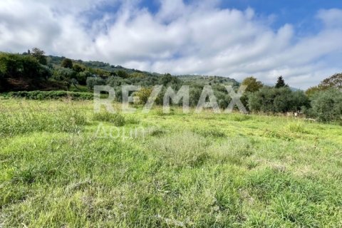 5238m² Land in Magnesia, Greece No. 64923 18