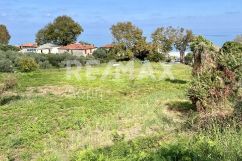 5238m² Land in Magnesia, Greece No. 64923 7