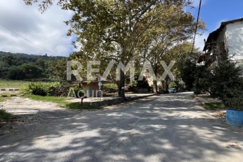 5238m² Land in Magnesia, Greece No. 64923 1