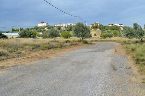 1750m² Land in Rafina, Greece No. 59358 2