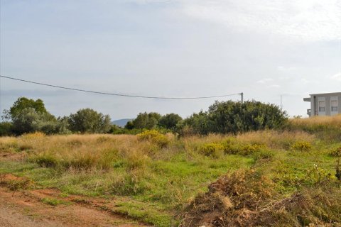 1750m² Land in Rafina, Greece No. 59358 1