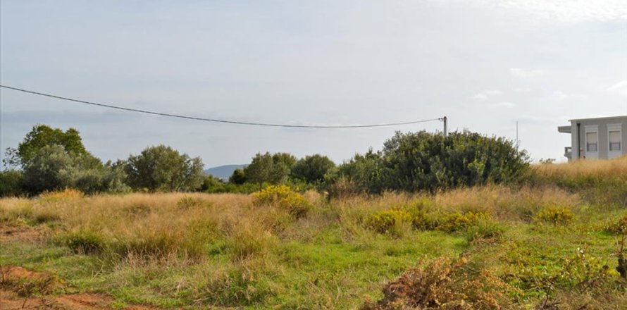 1750m² Land in Rafina, Greece No. 59358