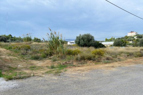 1750m² Land in Rafina, Greece No. 59358 3