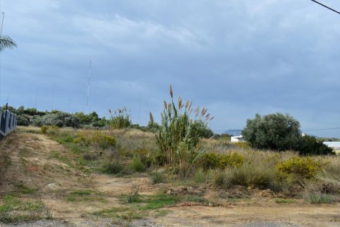 1750m² Land in Rafina, Greece No. 59358 4