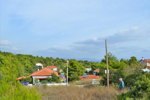 996m² Land à Rafina, Greece No. 59357 4