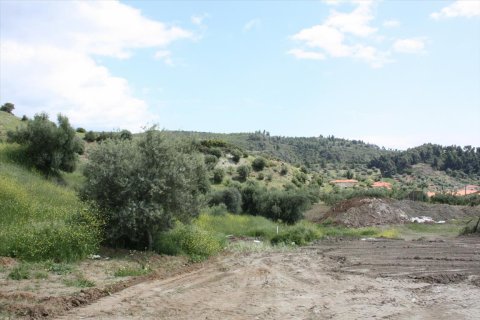 23000m² Land à Chalkidiki, Greece No. 58814 15