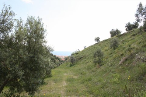 23000m² Land à Chalkidiki, Greece No. 58814 10