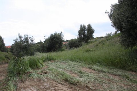 23000m² Land en Chalkidiki, Greece No. 58814 4