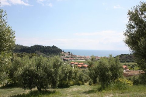 23000m² Land in Chalkidiki, Greece No. 58814 2