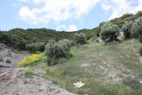 23000m² Land in Chalkidiki, Greece No. 58814 14