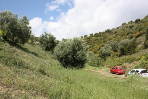 23000m² Land in Chalkidiki, Greece No. 58814 19