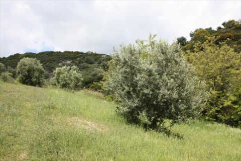 23000m² Land en Chalkidiki, Greece No. 58814 7