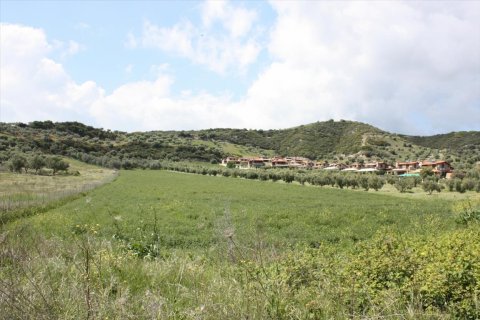 23000m² Land en Chalkidiki, Greece No. 58814 1