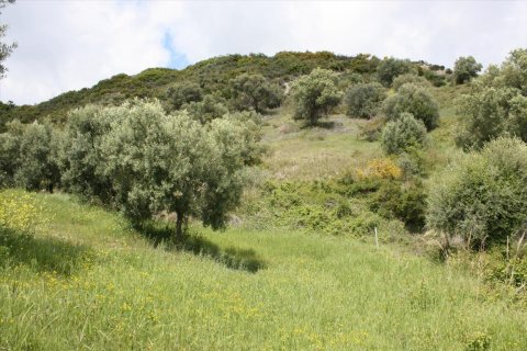 23000m² Land in Chalkidiki, Greece No. 58814 11