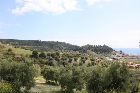 23000m² Land en Chalkidiki, Greece No. 58814 3