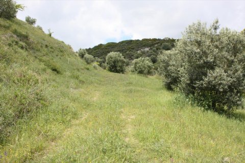 23000m² Land en Chalkidiki, Greece No. 58814 6