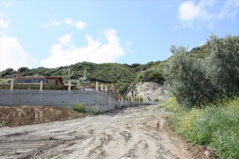 23000m² Land in Chalkidiki, Greece No. 58814 16