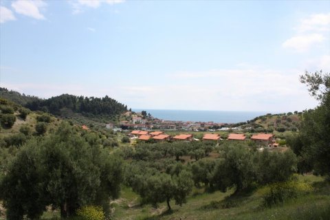 23000m² Land en Chalkidiki, Greece No. 58814 13