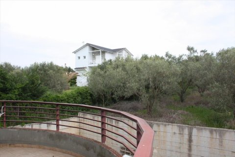 3 chambres House à Chalkidiki, Greece No. 58818 8