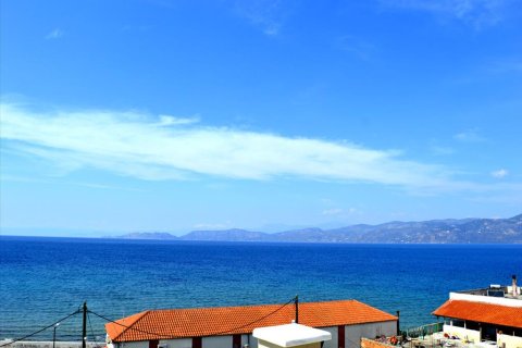 1000m² Negocio en Corinth, Greece No. 58820 12