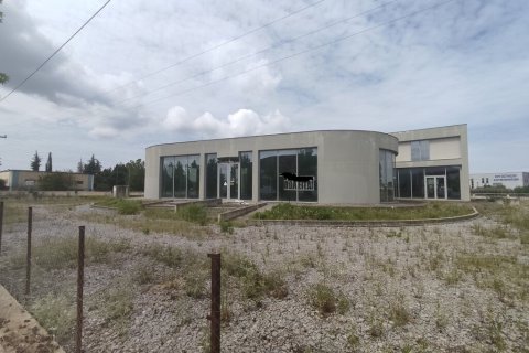 4100m² Business in Thermi, Greece No. 55485 5