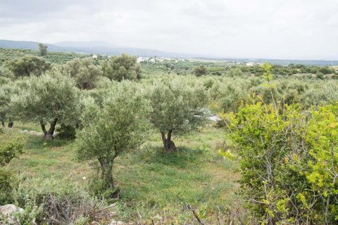 16000m² Land en Rethymno, Greece No. 57543 2