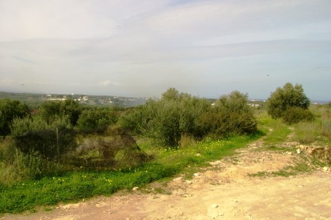 16000m² Land in Rethymno, Greece No. 57543 1