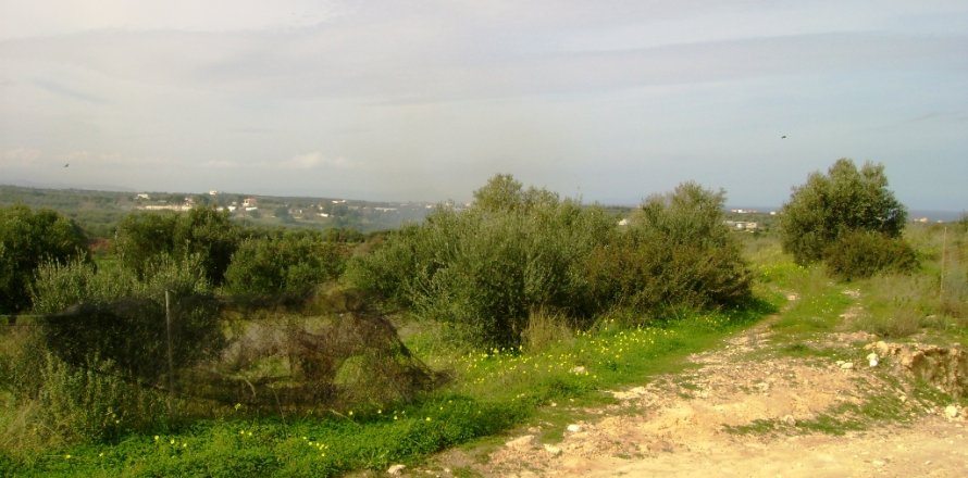 16000m² Land en Rethymno, Greece No. 57543