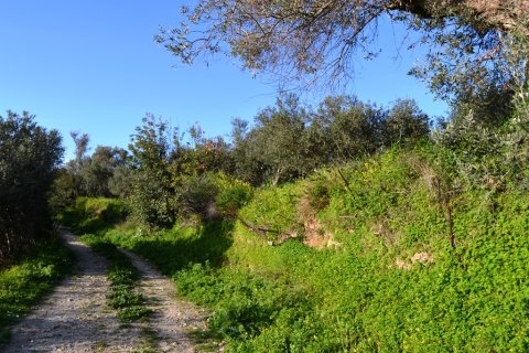 5500m² Land in Rethymno, Greece No. 57539 2