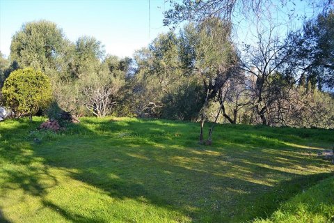 2000m² Land en Corfu, Greece No. 57542 10