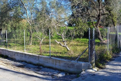 2000m² Land en Corfu, Greece No. 57542 3