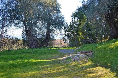 2000m² Land in Corfu, Greece No. 57542 8