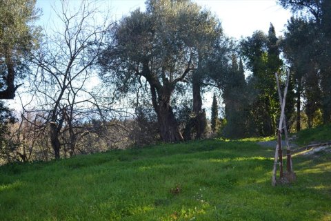 2000m² Land en Corfu, Greece No. 57542 5