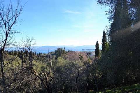 2000m² Land in Corfu, Greece No. 57542 1