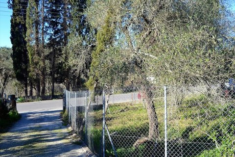 2000m² Land à Corfu, Greece No. 57542 11