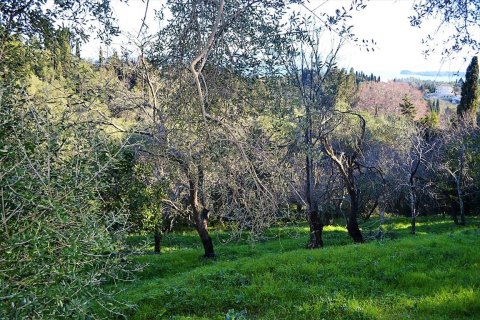 2000m² Land en Corfu, Greece No. 57542 9