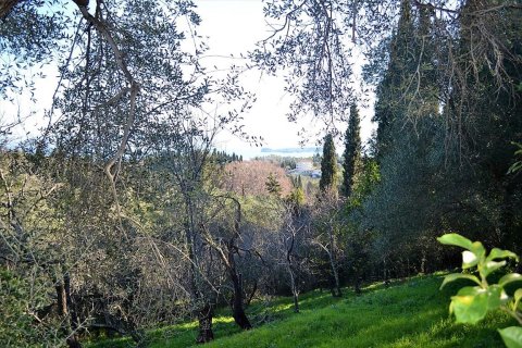 2000m² Land in Corfu, Greece No. 57542 2