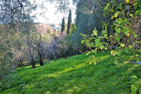 2000m² Land in Corfu, Greece No. 57542 6