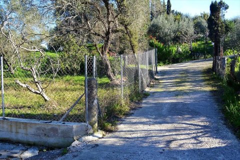 2000m² Land en Corfu, Greece No. 57542 4