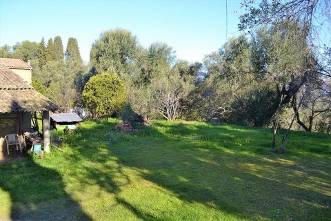 2000m² Land in Corfu, Greece No. 57542 15